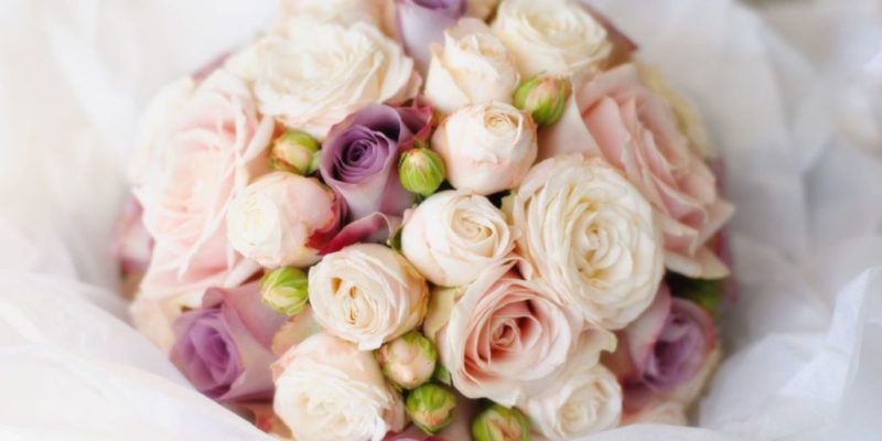 Interesting Facts that You Should Know About Roses